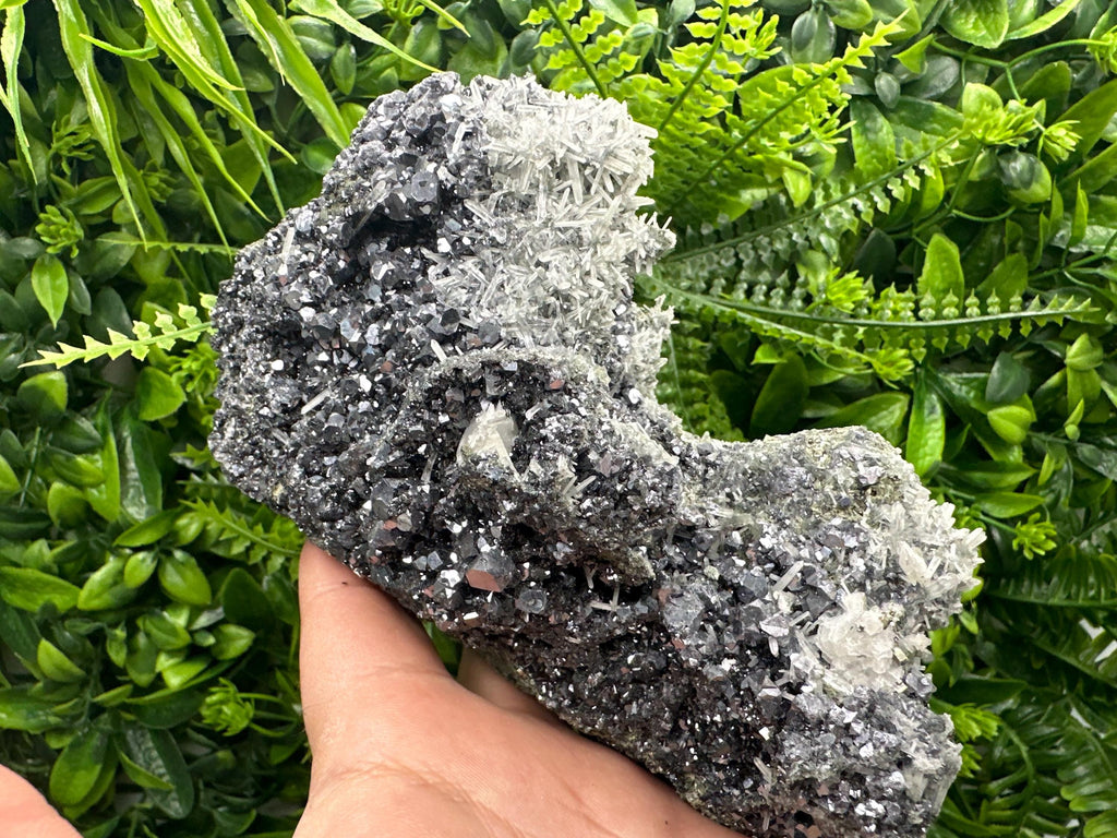 Galena on Sphalerite and Quartz: Borieva Mine, Bulgaria