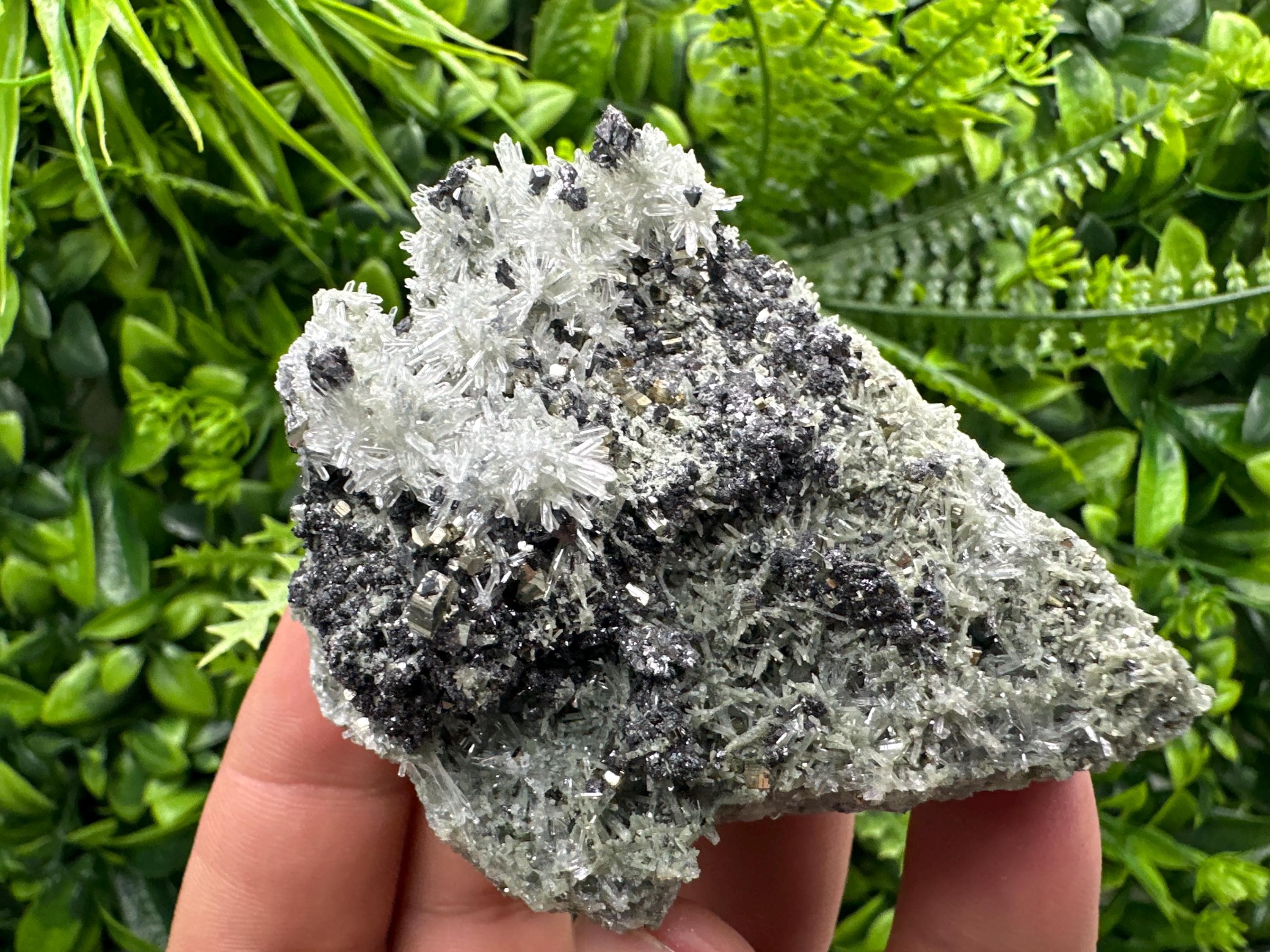 Sphalerite Pyrite on Quartz with Chlorite, Borieva Mine Mineral Specimen