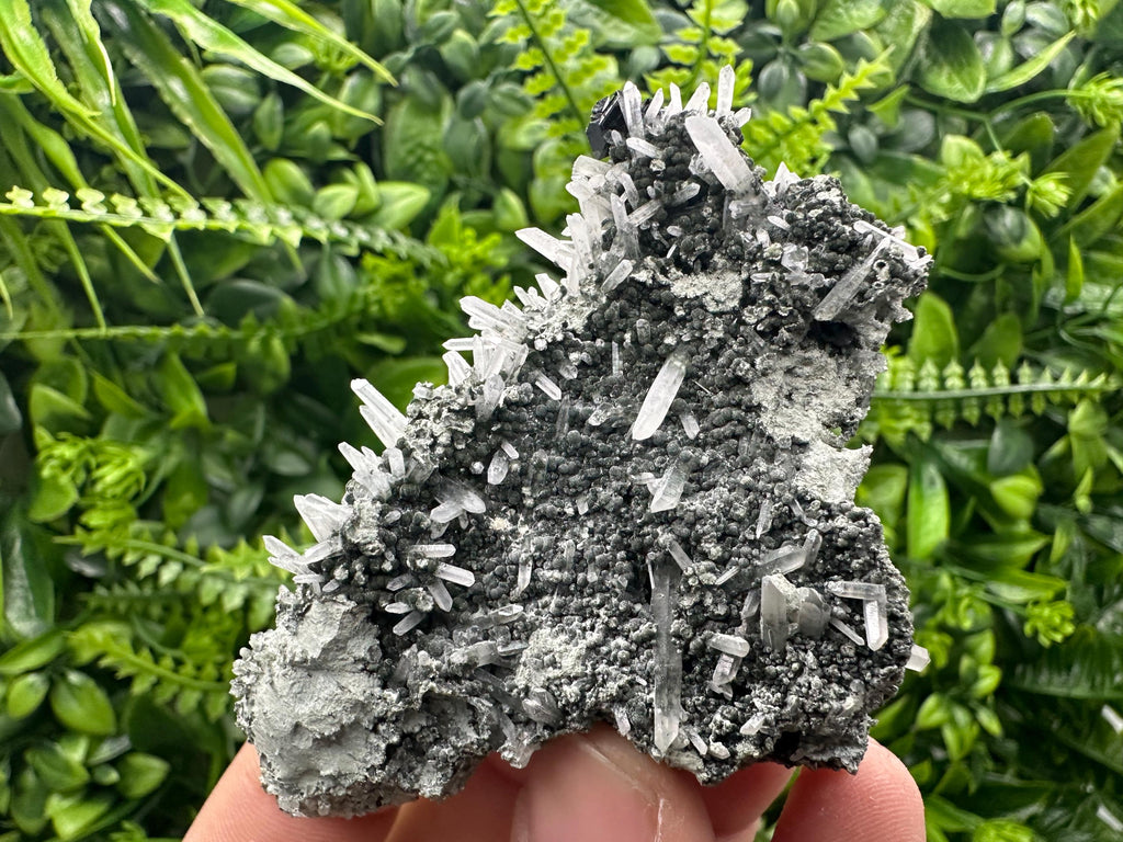 Quartz with Chlorite and Sphalerite, Borieva Mine Mineral Specimen