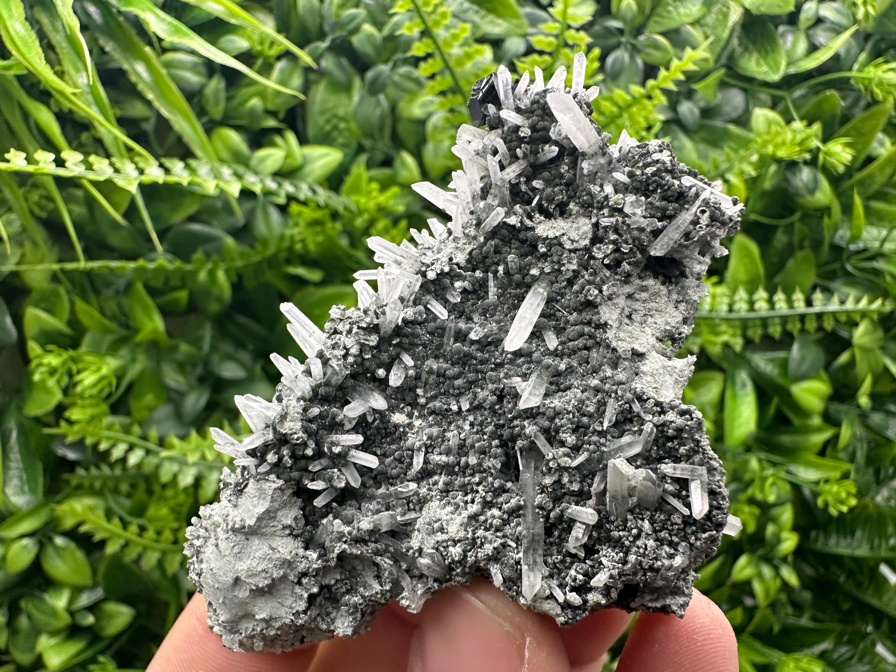 Quartz with Chlorite and Sphalerite, Borieva Mine Mineral Specimen