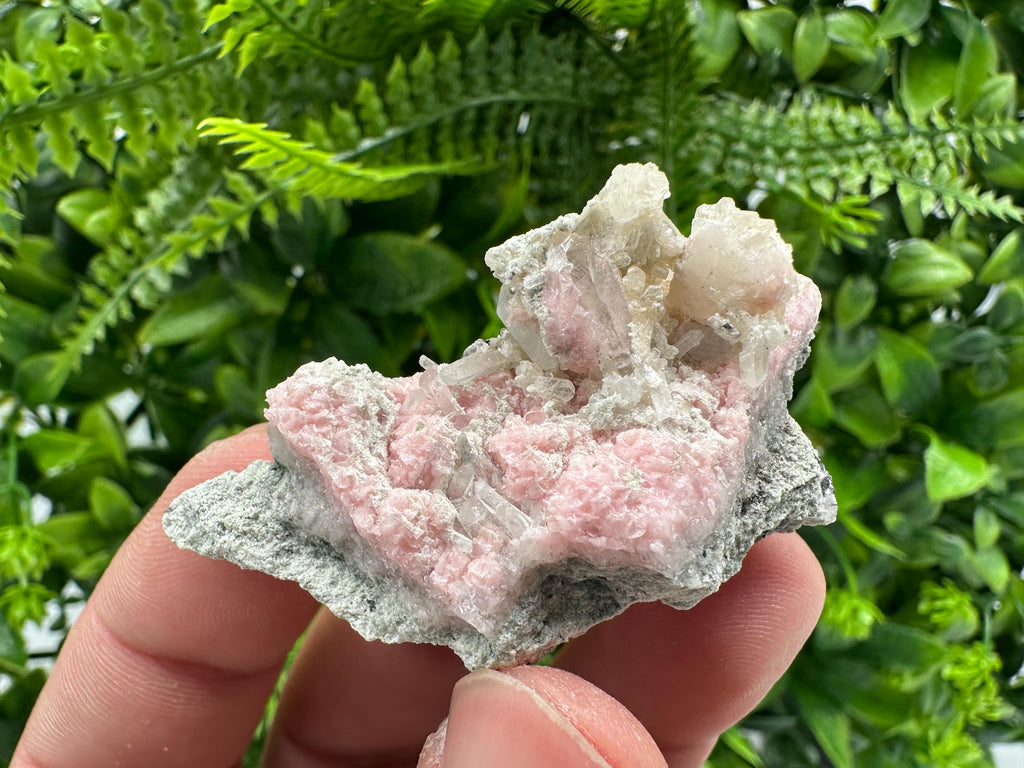 Pink Rhodochrosite Crystal: Starnica Mine, Bulgaria - Home Decor Stone