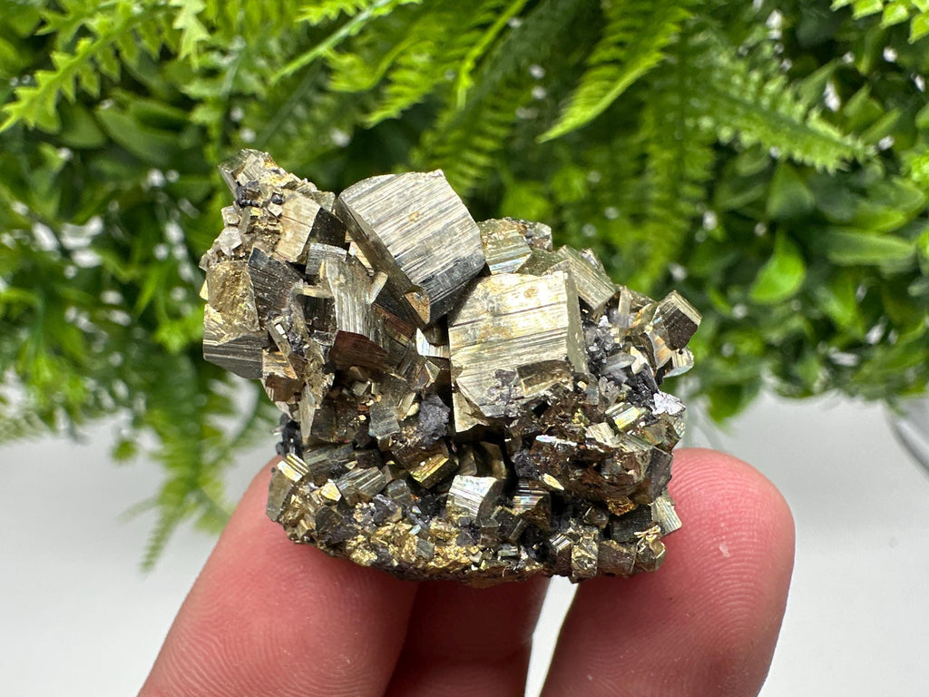 Rare Crystallized Pyrite Cluster - Borieva Mine, Bulgaria