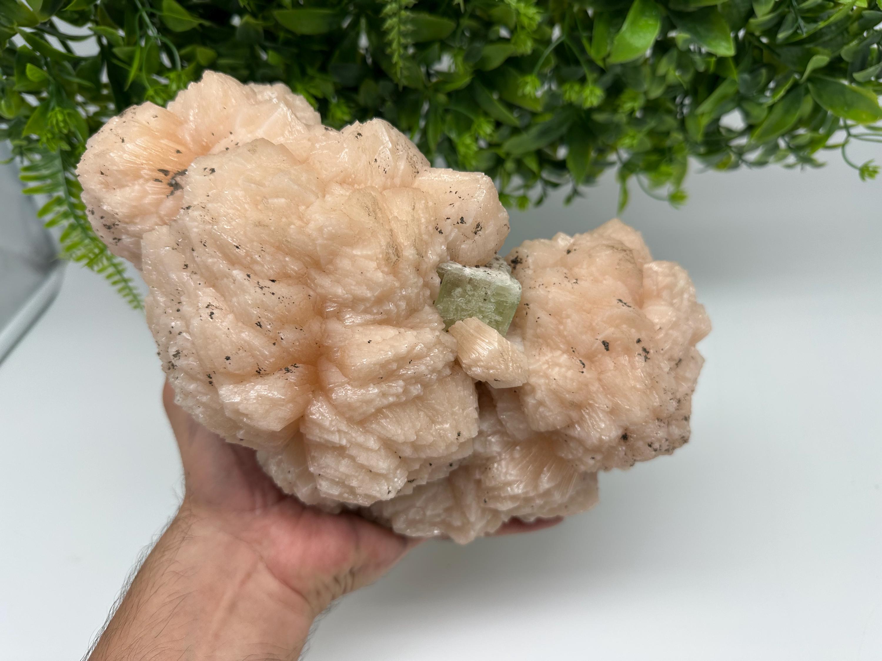 Apophyllite Stilbite on Chalcedony: Natural Mineral Specimen, India