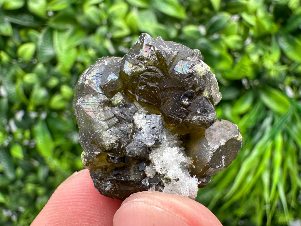 Cleiophane Sphalerite Gem: Rare Transparent Crystal, Bulgaria