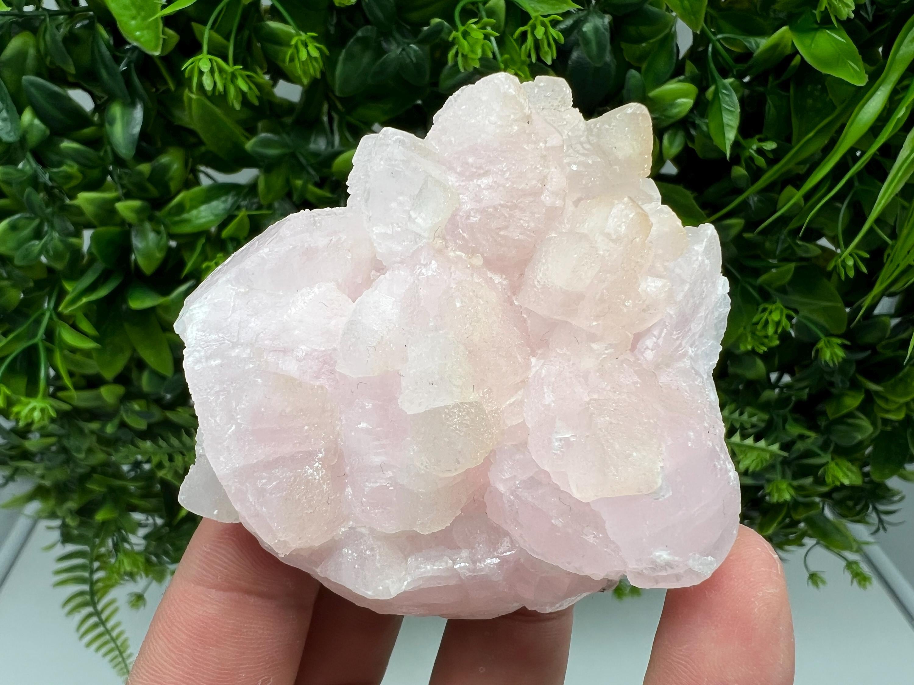 UV Reactive Mangano Calcite Crystal: Androvo Mine, Bulgaria