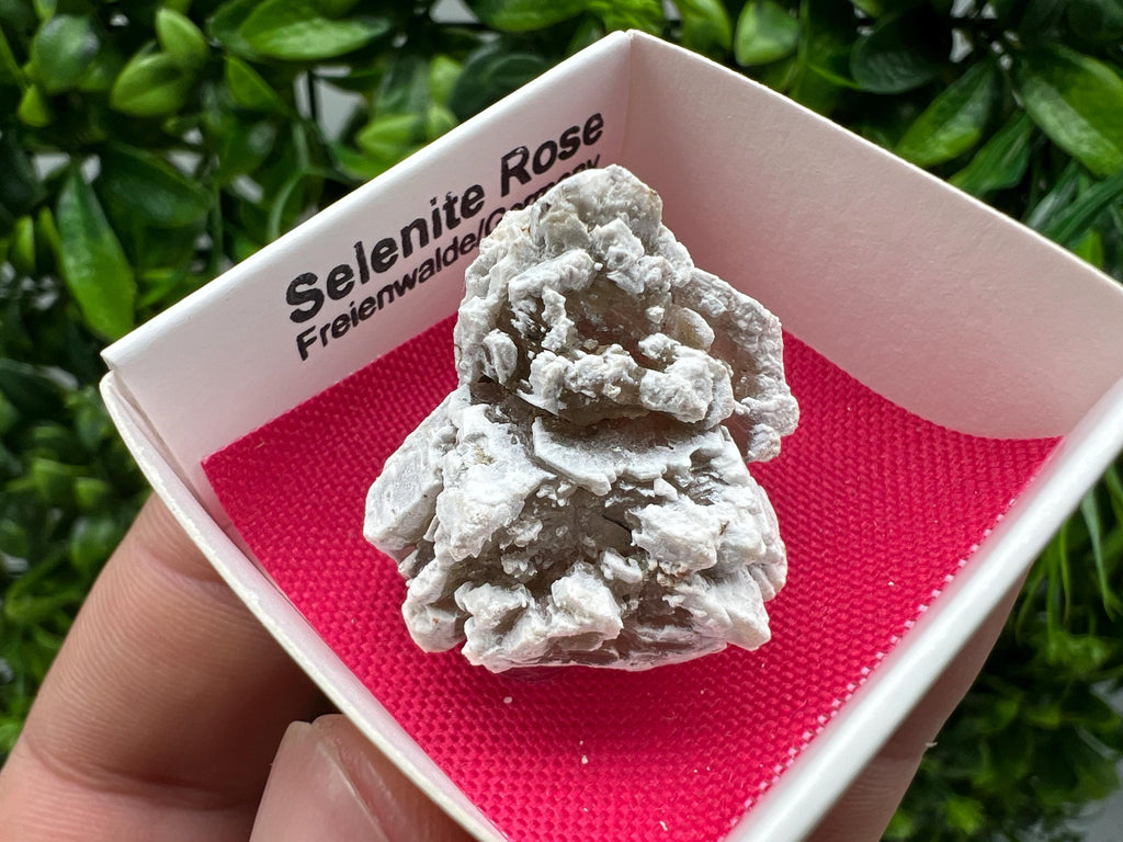 Selenite Rose Freienwalde,Germany natural crystal minerals,specimen,clusters,souvenirs,home decor,gift minerals,rare stone,collection