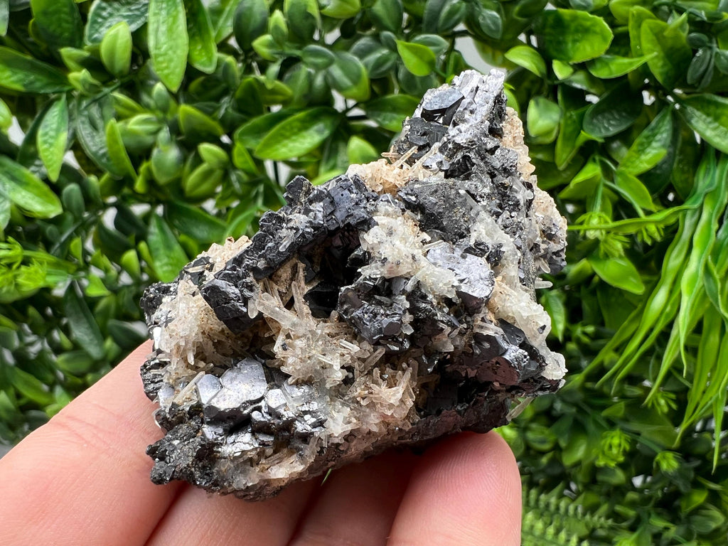 Galena Cluster with Siderite and Quartz, 9th September Mine, Bulgaria
