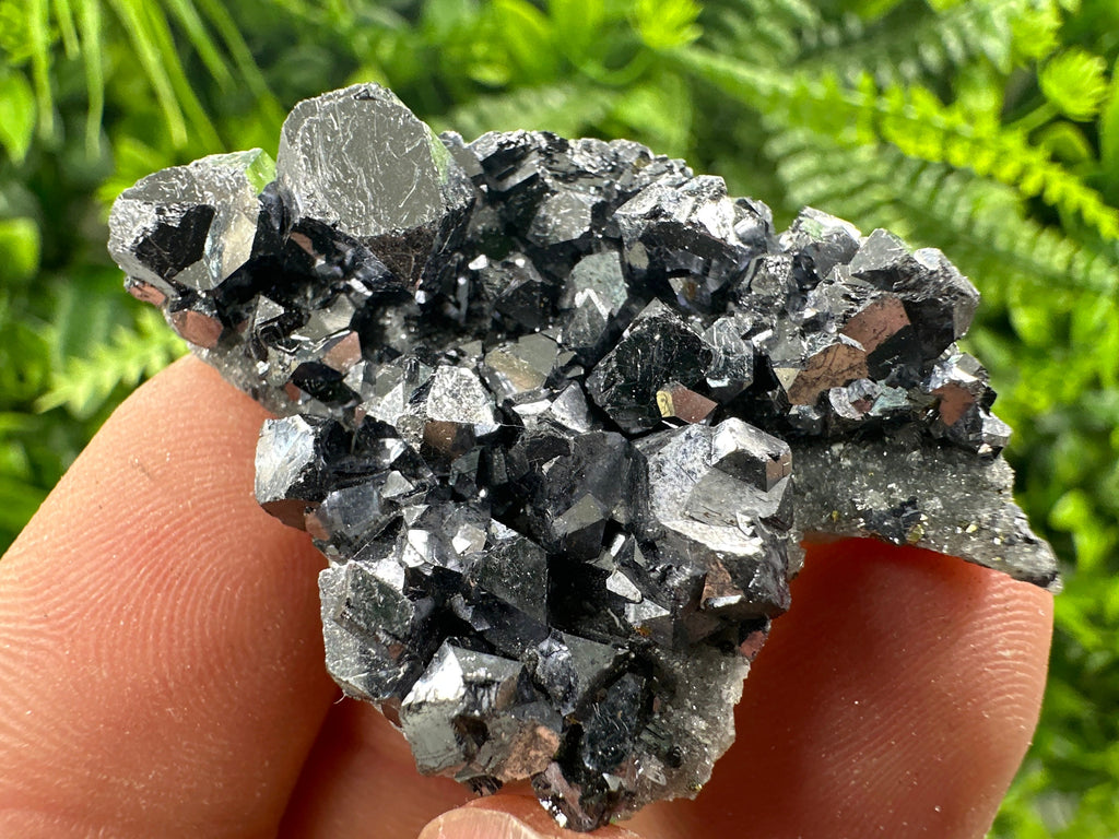 Shiny Galena on Quartz, Borieva Mine Bulgaria