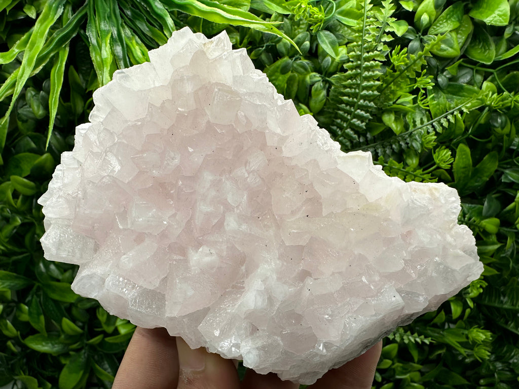 UV Reactive Mangano Calcite, Androvo Mine Bulgaria, Mineral Specimen