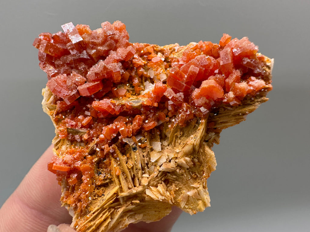 Red Vanadinite Crystal Cluster on Matrix, Morocco Mineral Specimen