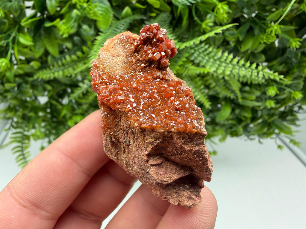 Red Vanadinite on Matrix from Marocco,crystal minerals Speciment cluster Vanadinite crystal Vanadinite Geology Vanadinite cluster minerals