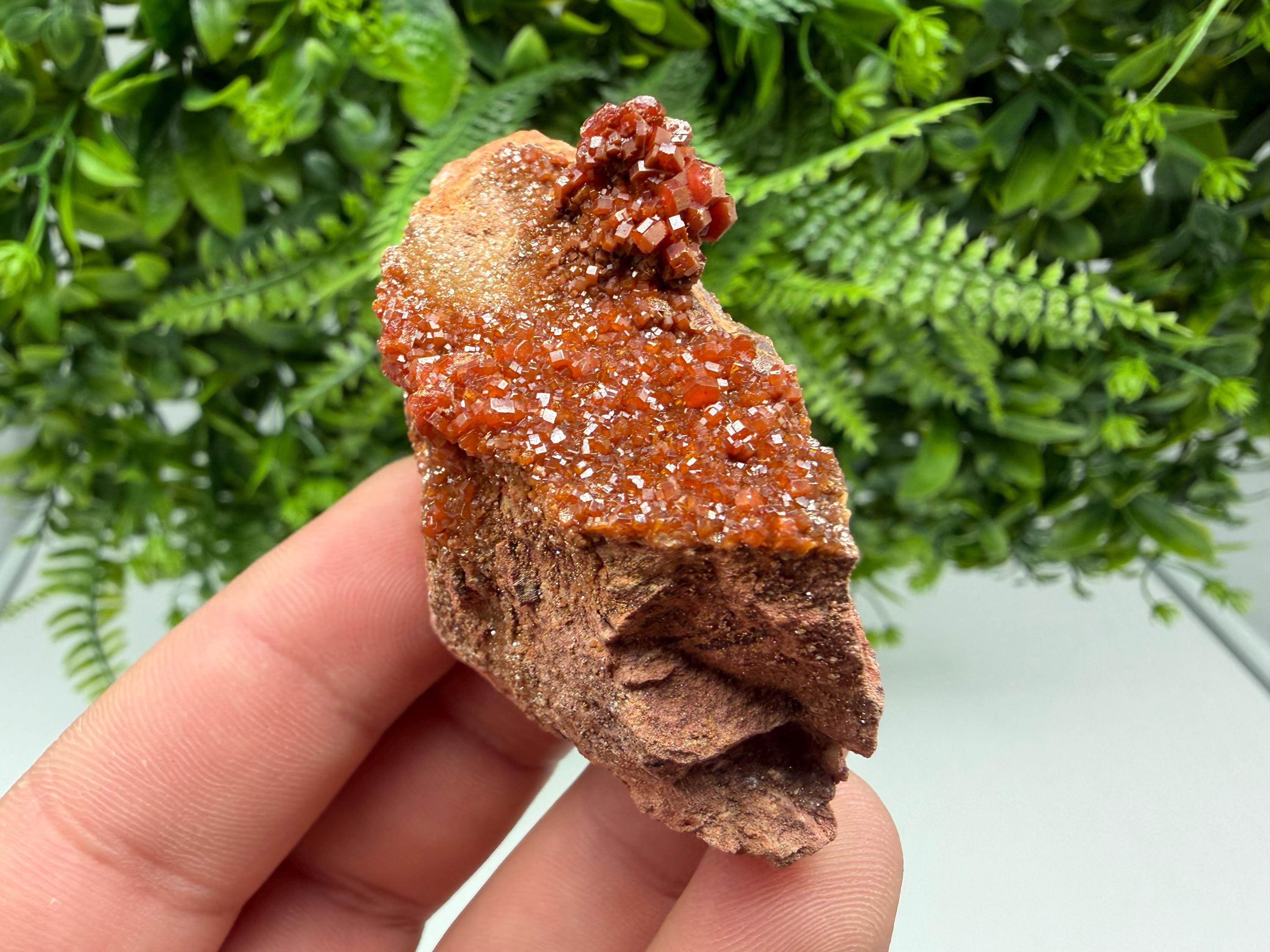 Red Vanadinite on Matrix from Marocco,crystal minerals Speciment cluster Vanadinite crystal Vanadinite Geology Vanadinite cluster minerals