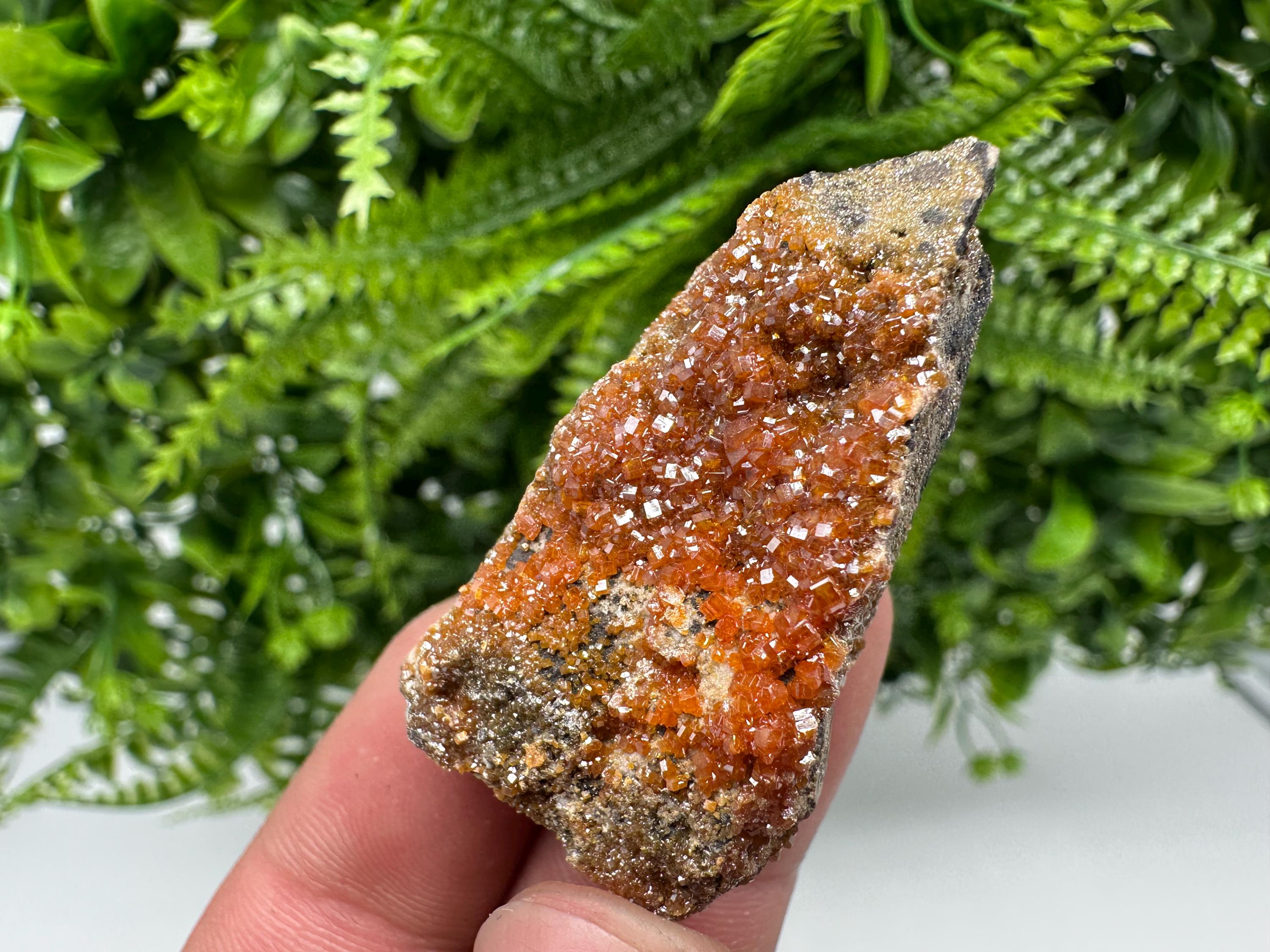 Red Vanadinite Crystal Cluster on Matrix, Morocco Mineral Specimen