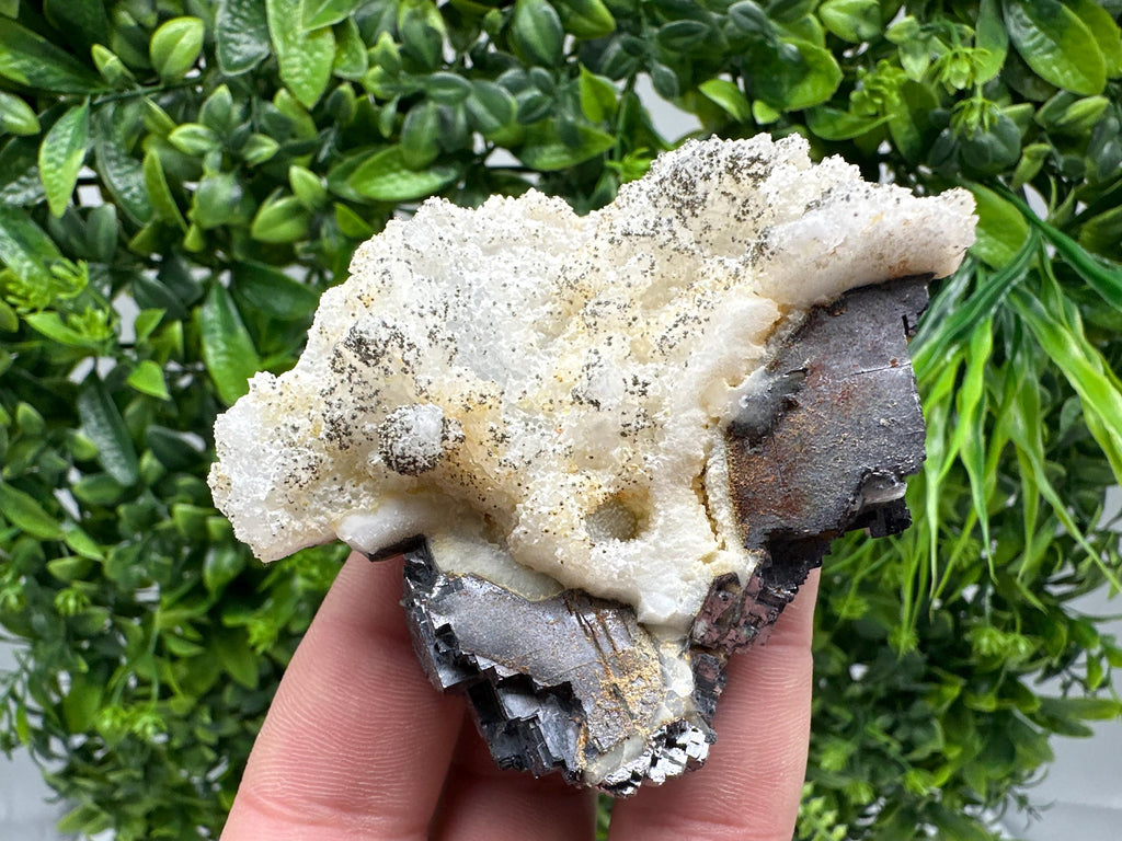 Galena Marcasite on Chalcedony: Androvo Mine Bulgaria Crystal