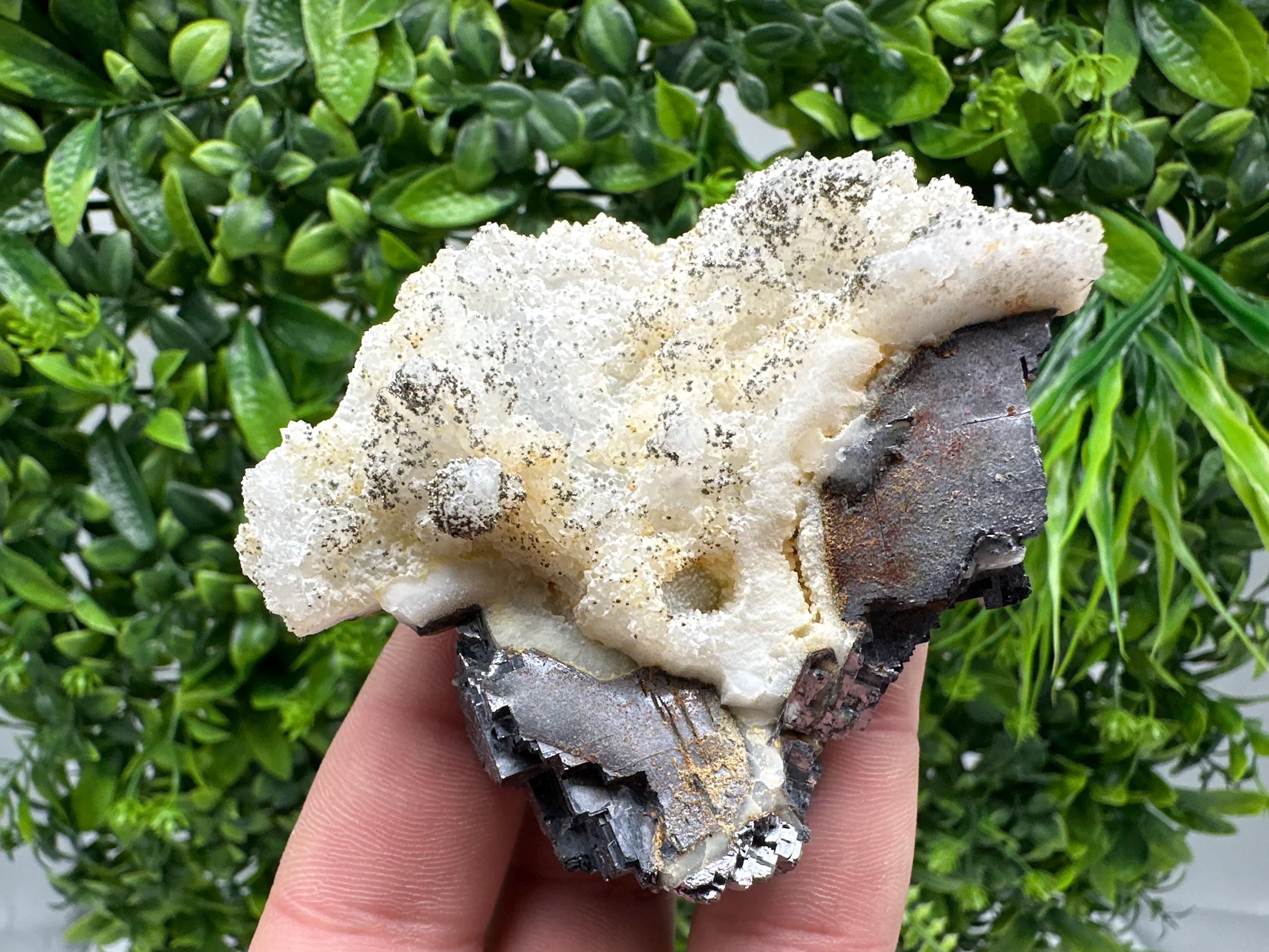 Galena Marcasite on Chalcedony: Androvo Mine Bulgaria Crystal