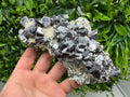 Aesthetic Natural shiny Galena whit Siderite and Quartz from 9 th September mine,Bulgaria,collection specimen,rare galena,Galena cluster