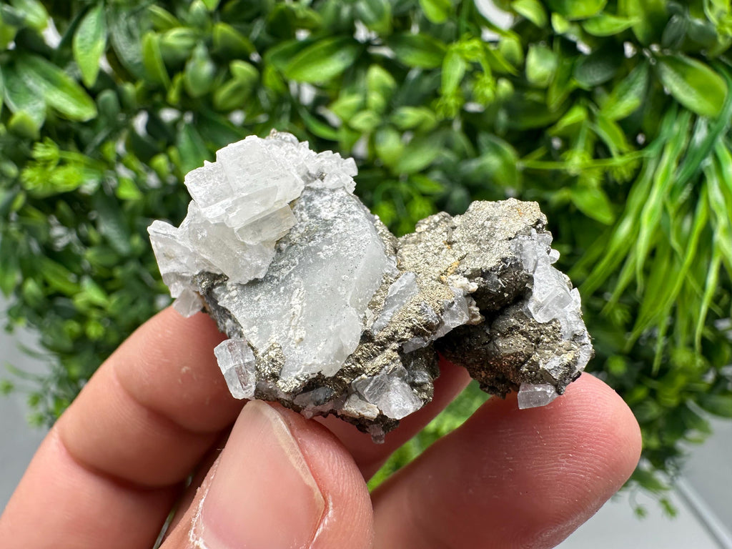 Barite Marcasite on Chalcedony, Androvo Mine, Bulgaria