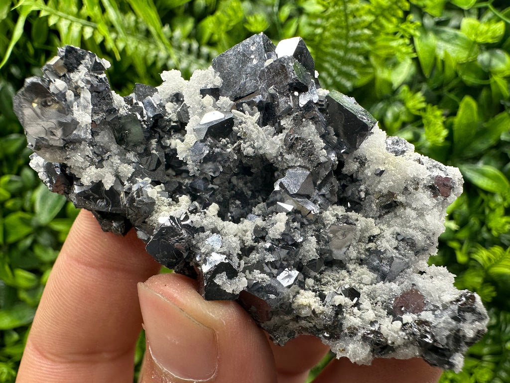 Shiny Skeletal Galena on Quartz with Calcite - Madan Bulgaria Crystal