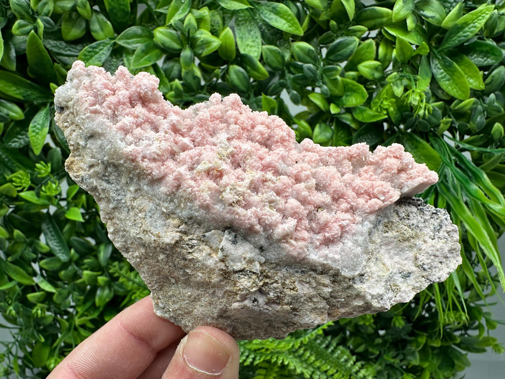 Rhodochrosite on Quartz, Starnica Mine, Bulgaria