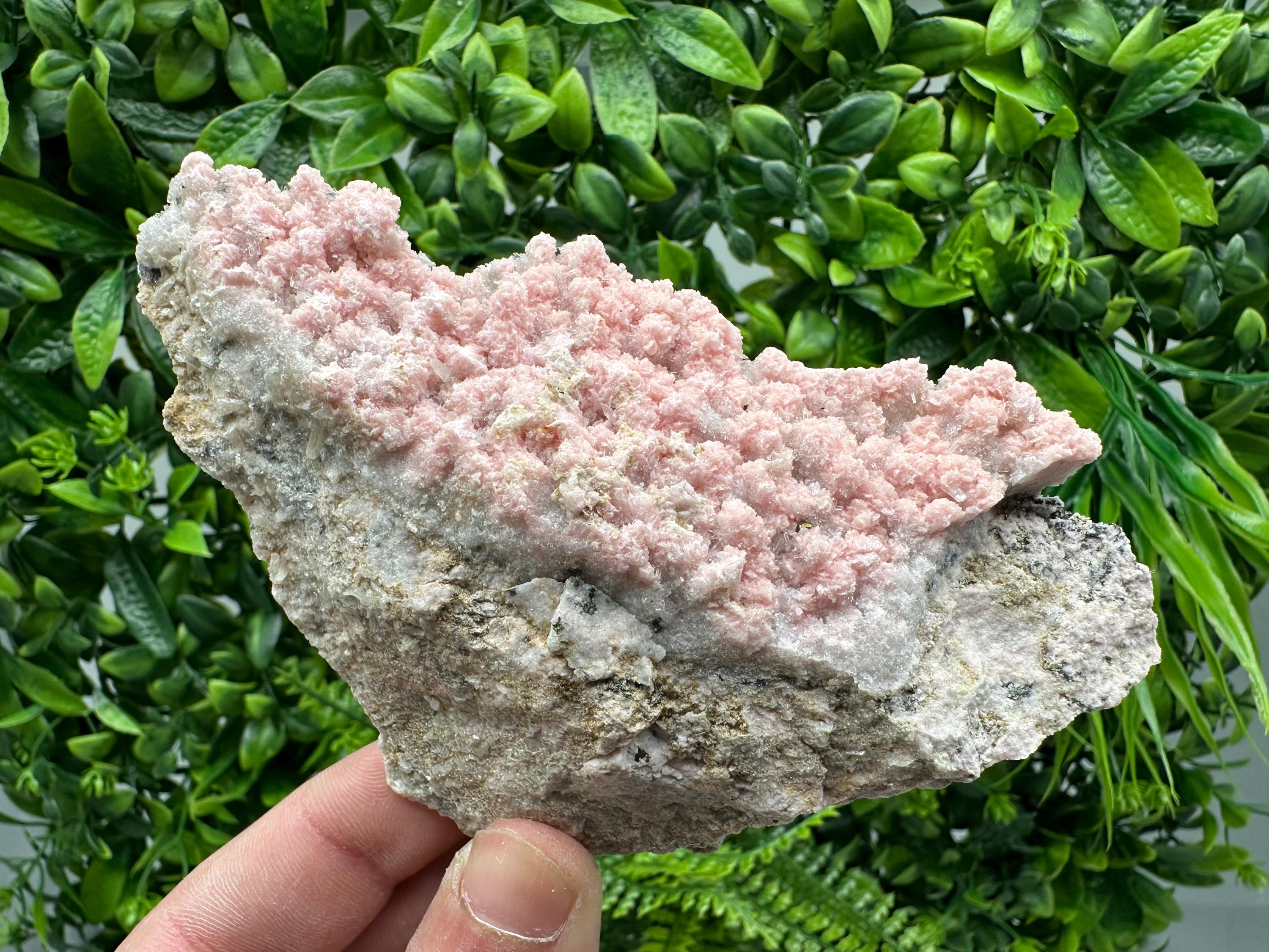 Rhodochrosite on Quartz, Starnica Mine, Bulgaria