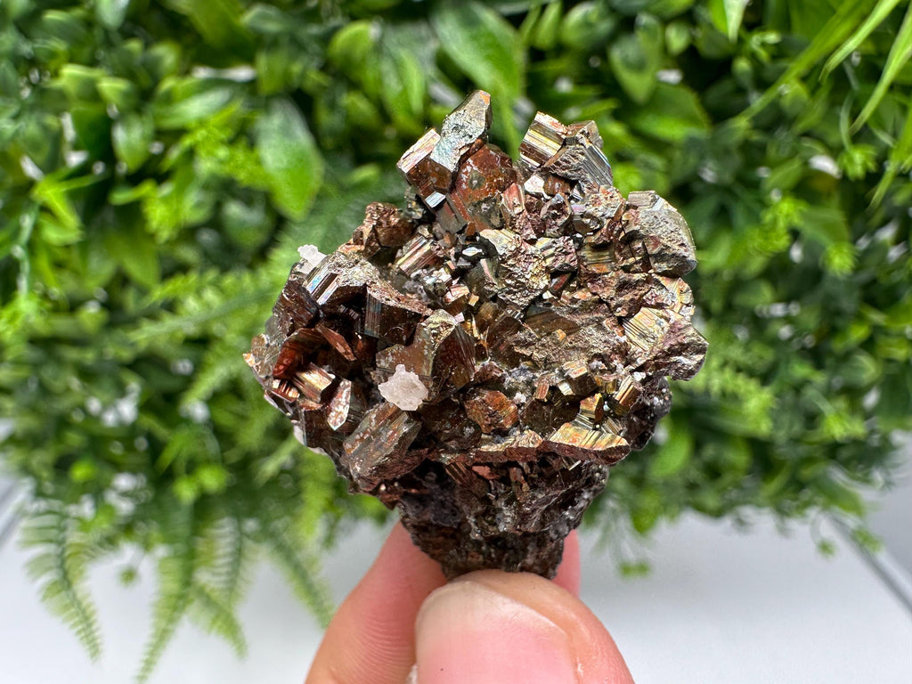Wonderful Rainbow Pyrite whit Calcite,natural minerals souvenir Crystal,collection stone,rare minerals,home decor,Borieva Bulgaria