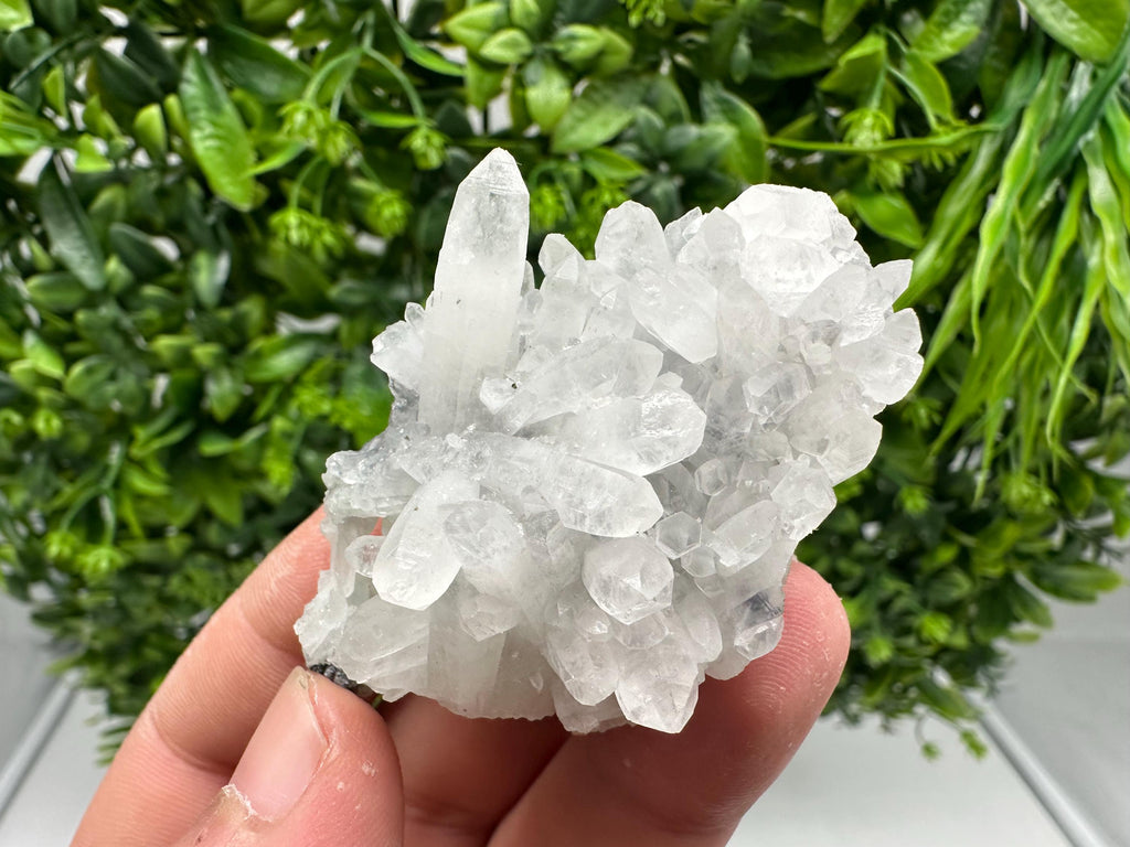 Wonderful Transparent Quartz on Chlorite Matrix,From Borieva mine,Madan,Bulgaria,Quartz,Quartz crystal,mineral specimen,collection quartz