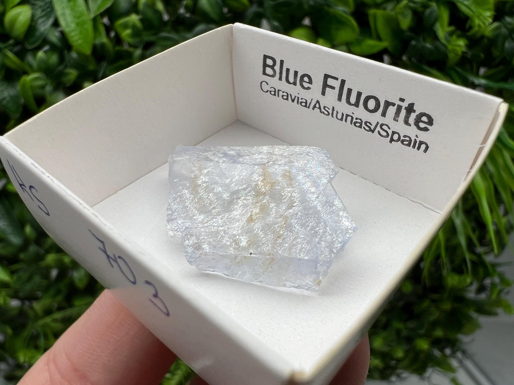 Blue Fluorite Mineral Specimen: Spain Collection (3/2 cm