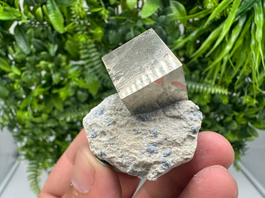 Large Pyrite Cube on Matrix, Navajun Spain, Shiny Home Decor Stone