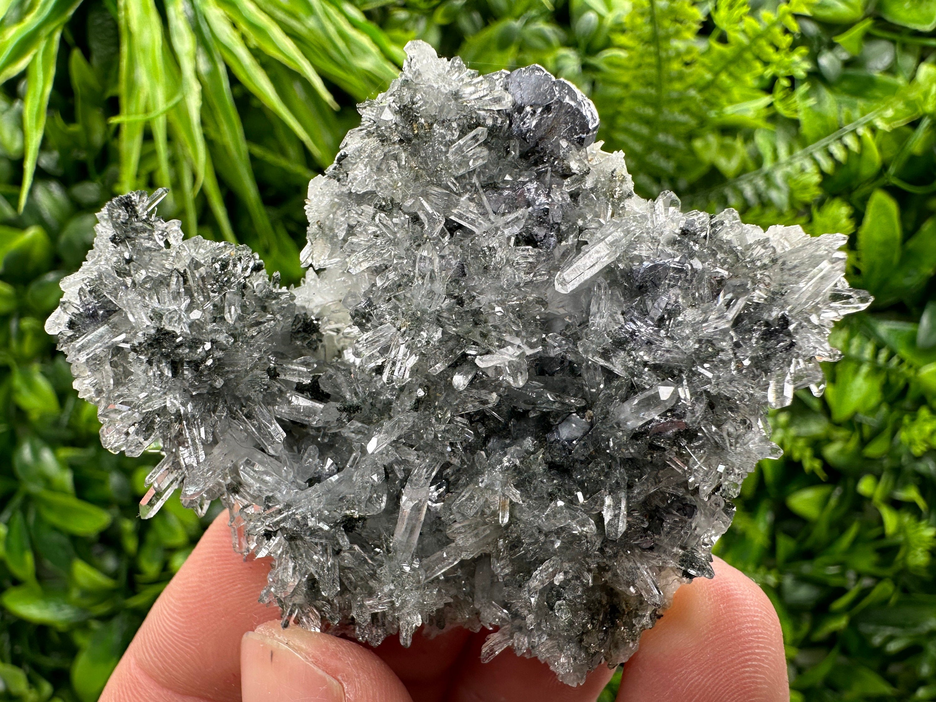 Galena Pyrite on Quartz, Borieva Mine, Bulgaria