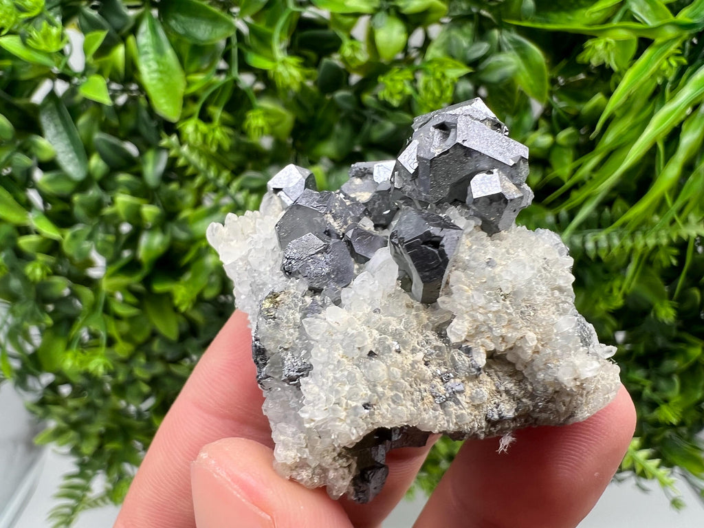 Galena on Chalcedony, Krushev Dol Mine, Bulgaria