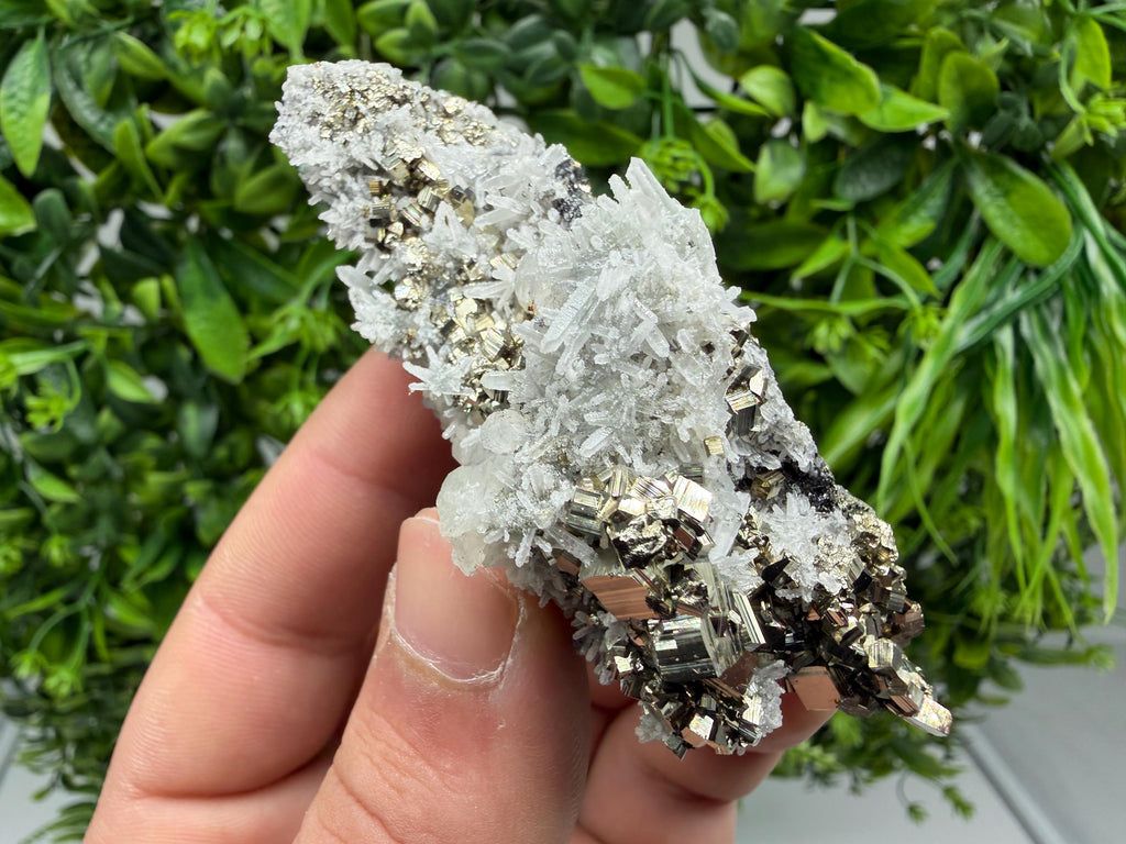 Pyrite Sphalerite Quartz  Mineral Specimen, Krushev dol Mine