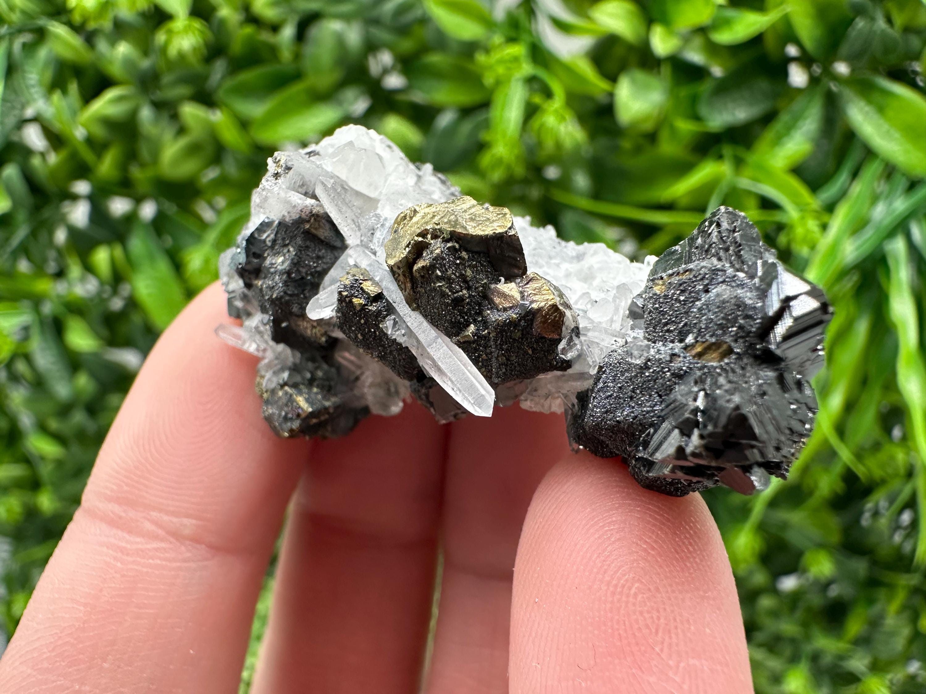 Wonderful Sphalerite Chalcopyrite on  Quartz whit Galena feom 9 th September mine,Bulgaria,natural,collection mineral specimen,gift