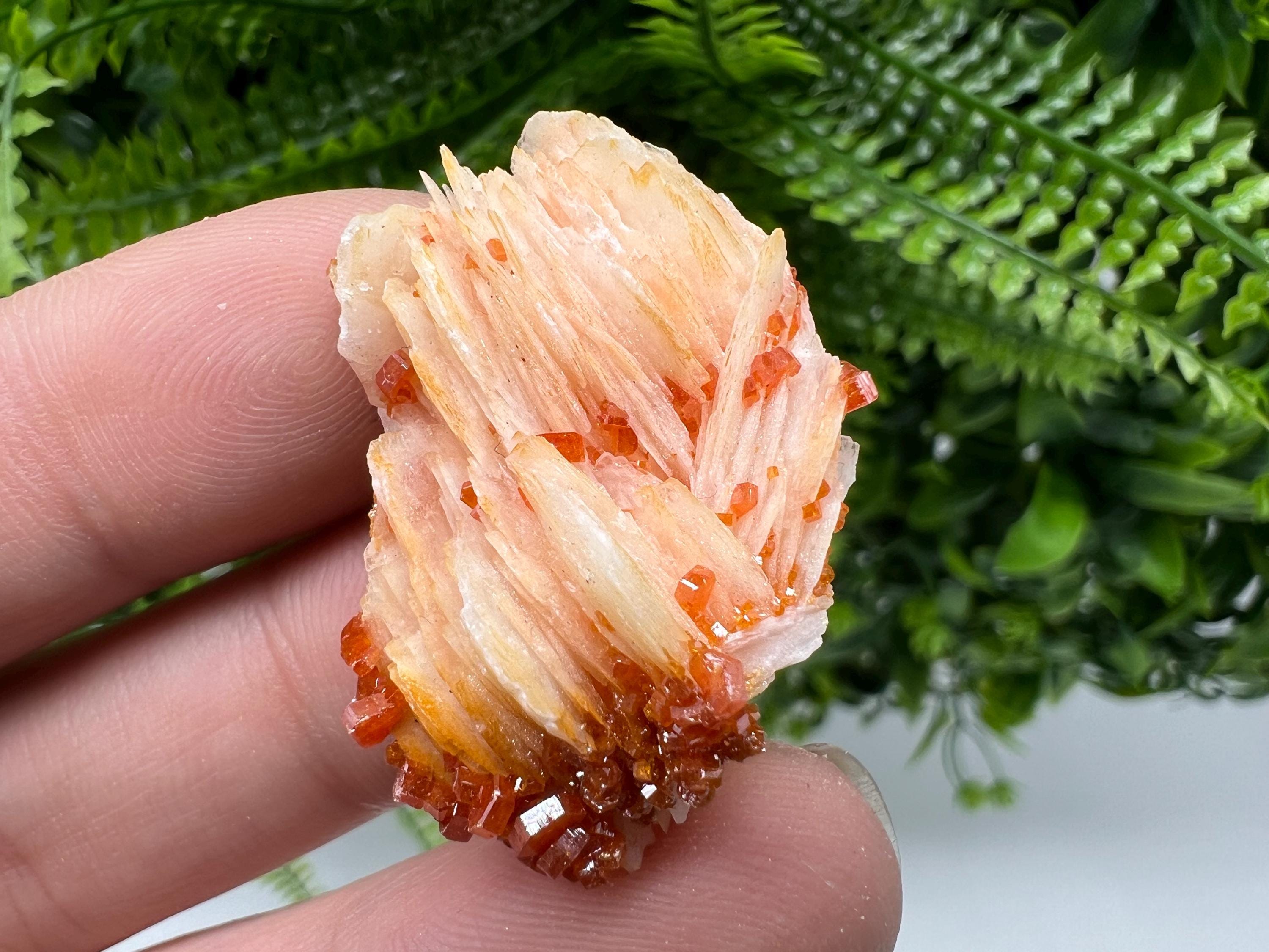 Red Vanadinite on Barite, Morocco Crystal Specimen