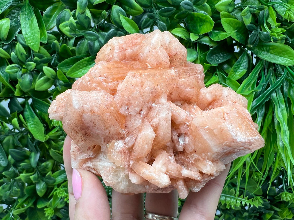 Apophyllite Stilbite Chalcedony Specimen: India Minerals Crystal Collection