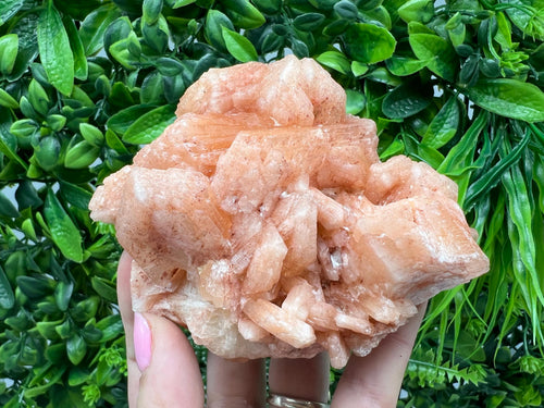 Apophyllite Stilbite Chalcedony Specimen: India Minerals Crystal Collection