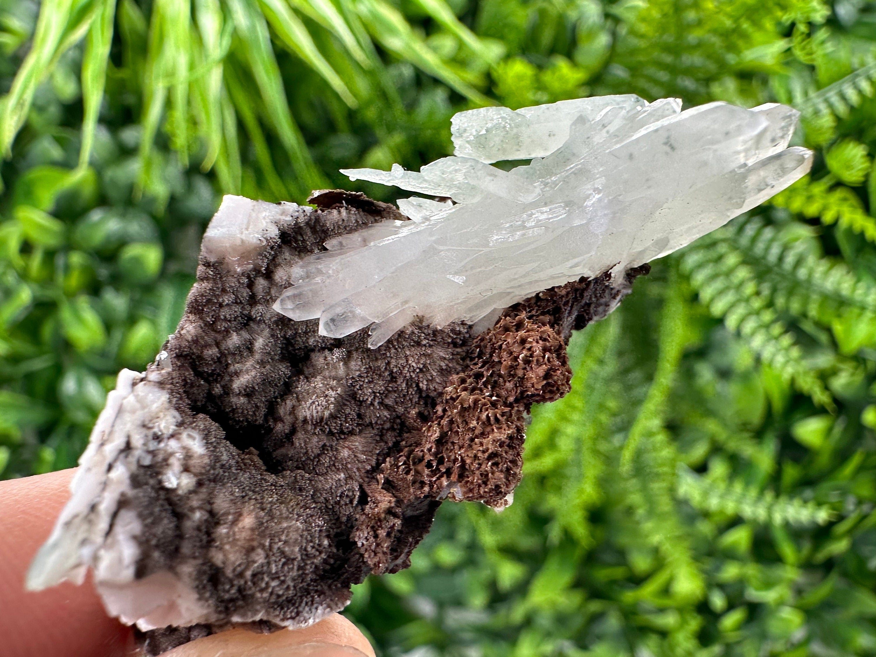 Quartz with Chlorite on Rhodochrosite and Siderite Mineral Specimen
