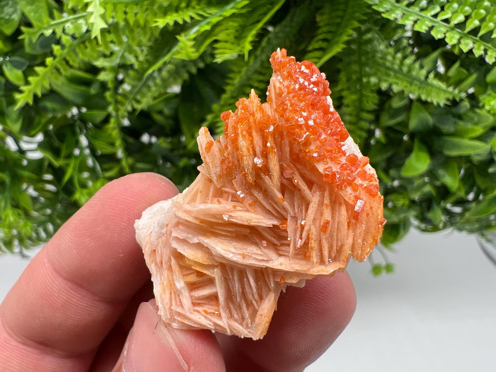 Red Vanadinite on Barite from Marocco,crystal minerals Speciment cluster Vanadinite crystal Vanadinite Geology Vanadinite cluster minerals