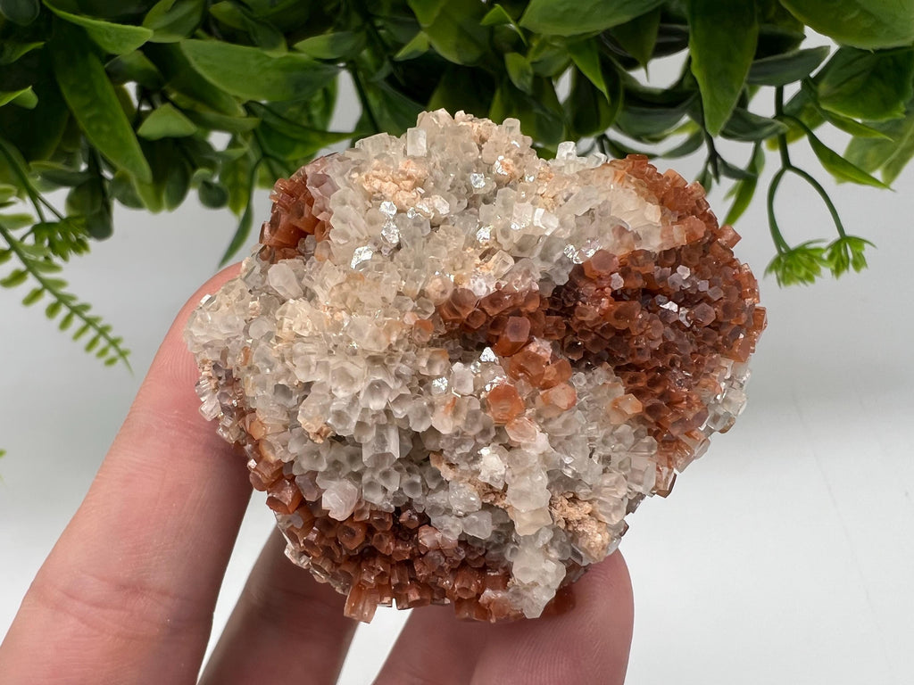 Extra Large Aragonite Sputnik Cluster: Moroccan Raw Crystal Stone