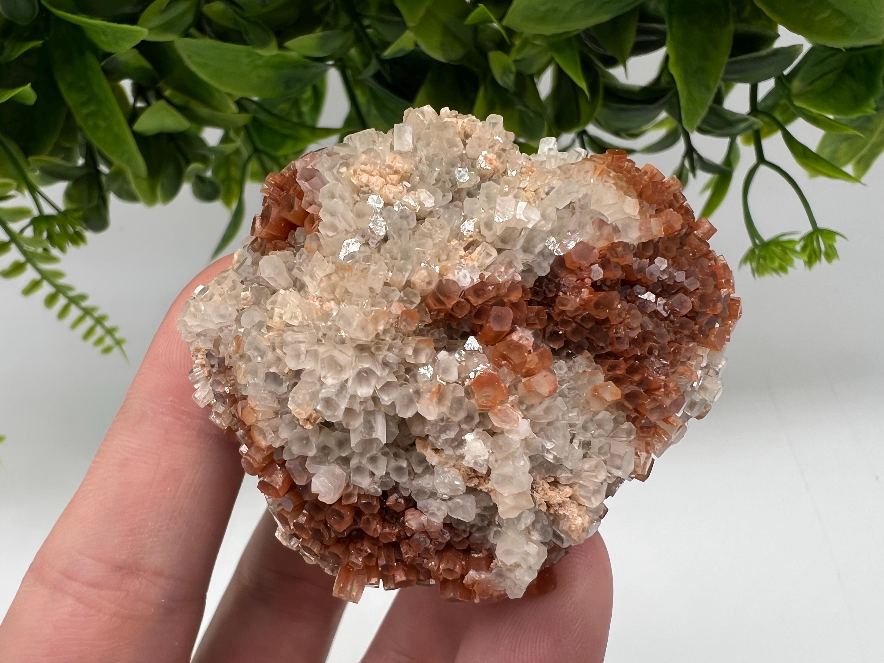 Extra Large Aragonite Sputnik Cluster: Moroccan Raw Crystal Stone
