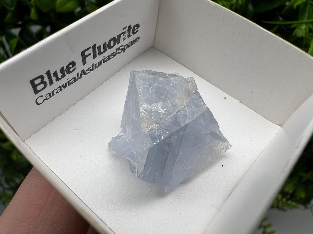 Blue Fluorite Mineral Specimen: Spain Collection (2.5/2.5 cm)