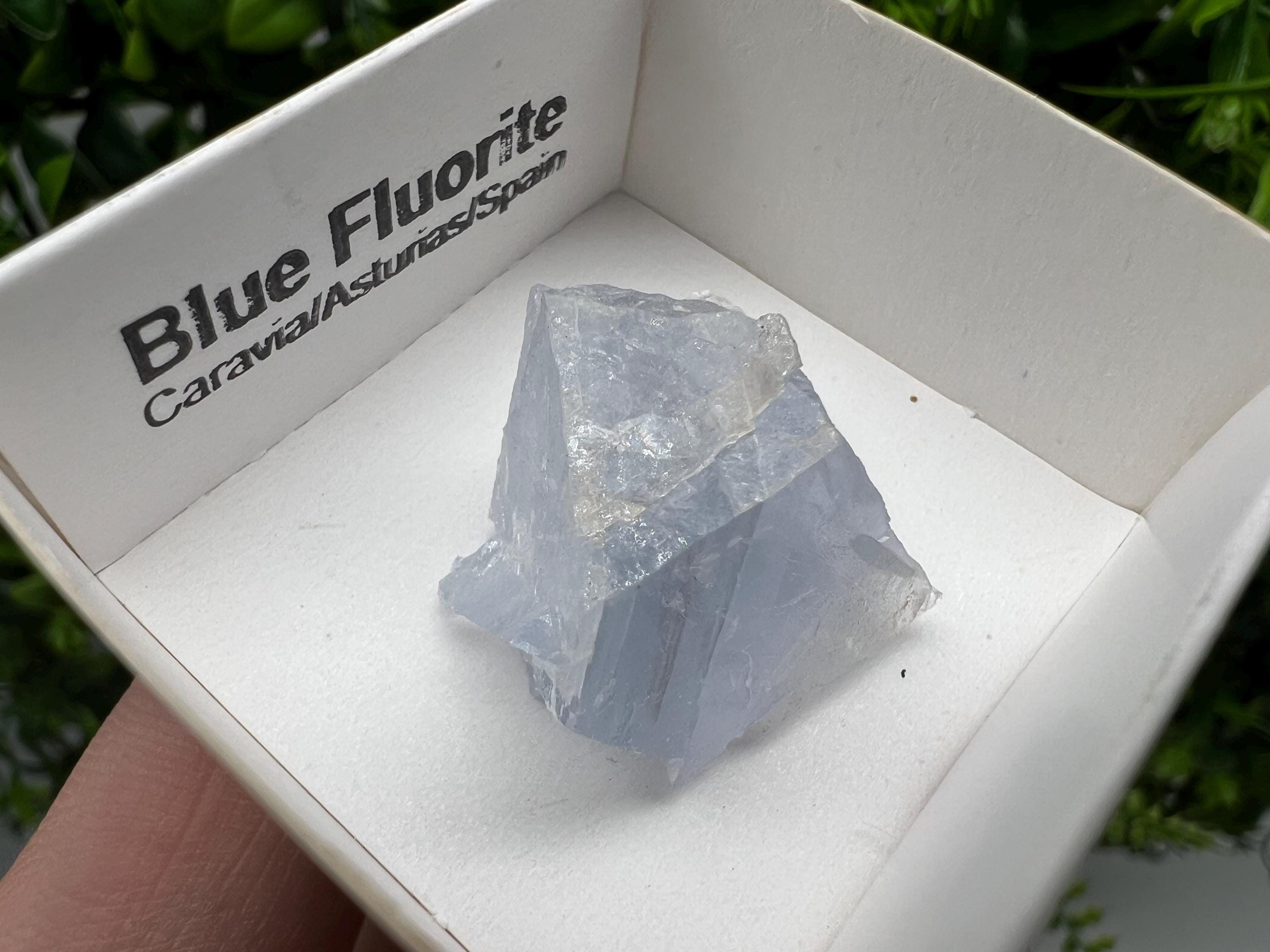 Blue Fluorite Mineral Specimen: Spain Collection (2.5/2.5 cm)