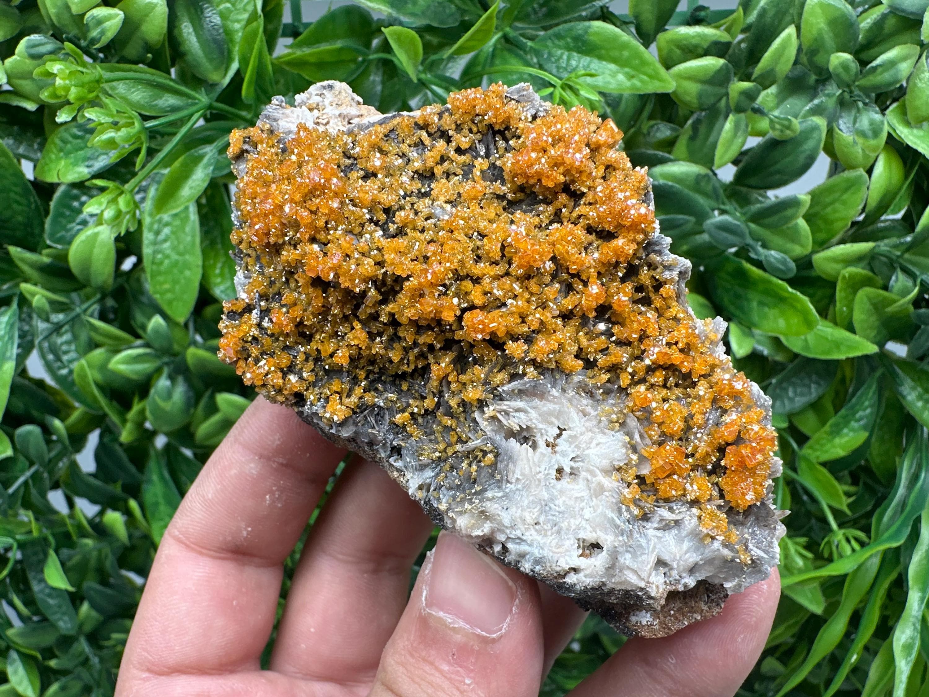 Rare Red Vanadinite Crystal Cluster on Barite with Goethite, Morocco