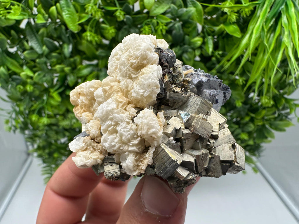 Collecting Mirror Galena,Pyrite on Quartz whit Chlorite,From Borieva mine,Madan,Bulgaria,natural mineral specimen,Home decor stone,Rare cry