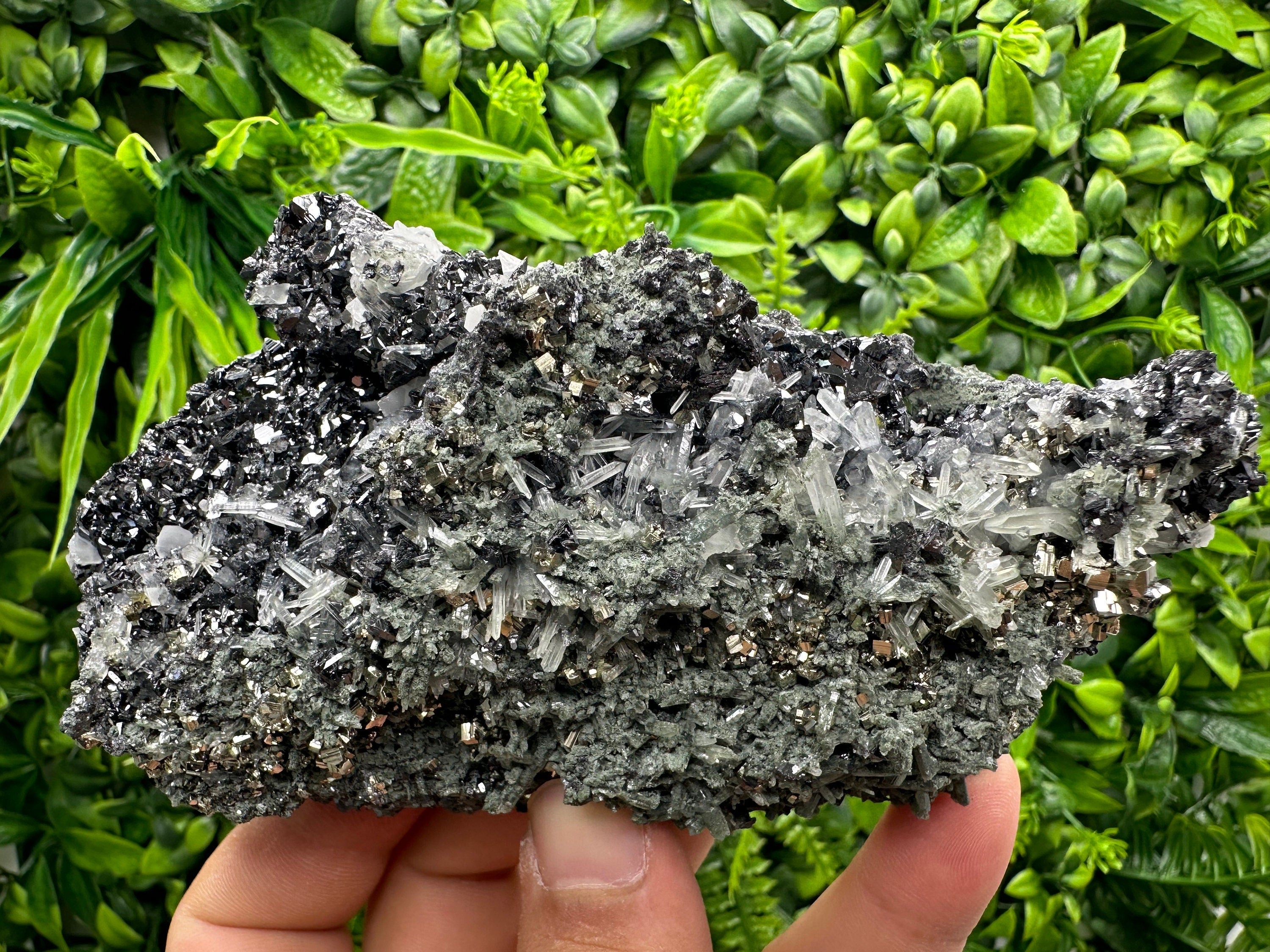 Pyrite Sphalerite Quartz Cluster with Chlorite, Borieva Bulgaria