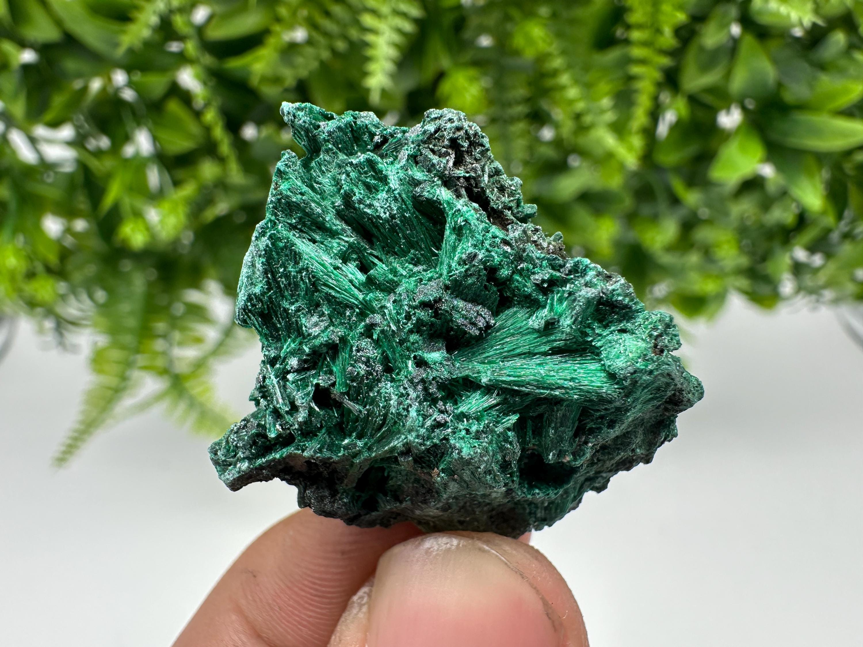 Malachite Crystal from Congo,Minerals,Crystals from Congo,Green Malachite, Malachite,Natural Malachite,Malachite Stone,Chakra, Specimens