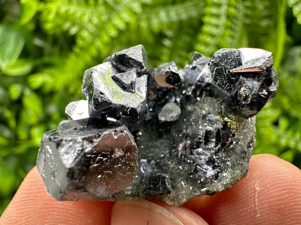Galena Chalcopyrite on Quartz: Crystal Mineral Specimen, Borieva Mine