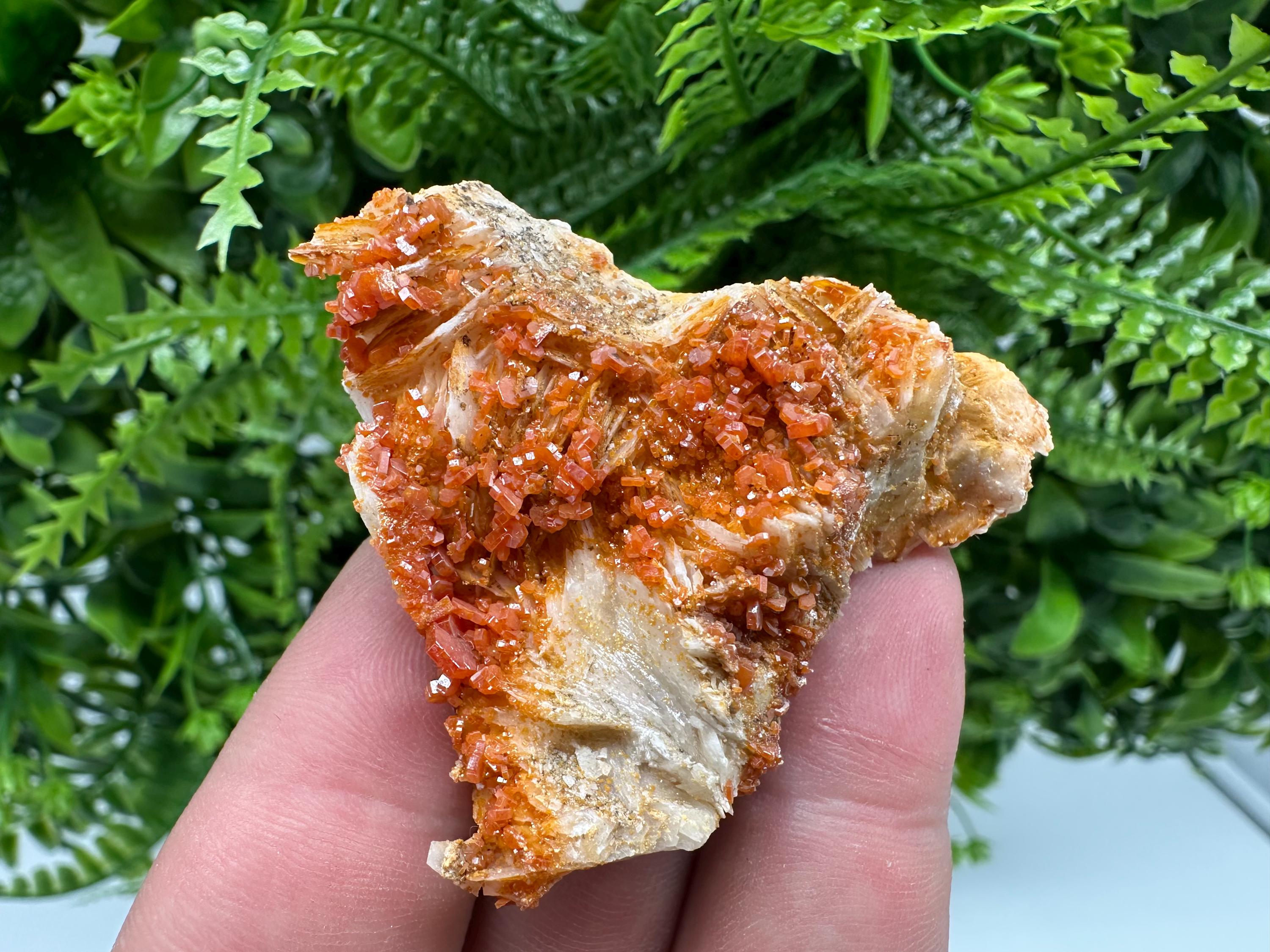 Red Vanadinite Crystal Cluster on Matrix, Morocco Mineral Specimen