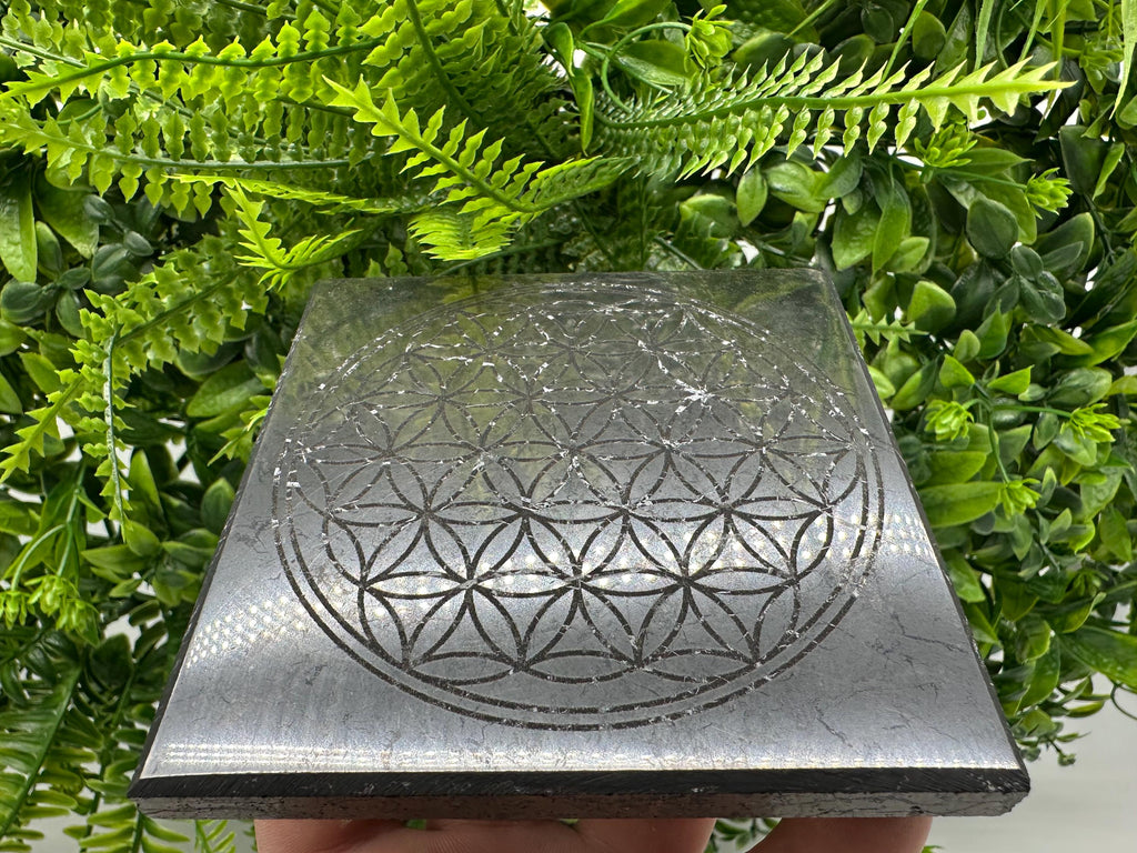 Shungite Plate, Flower of Life, Polished Stone from Russia
