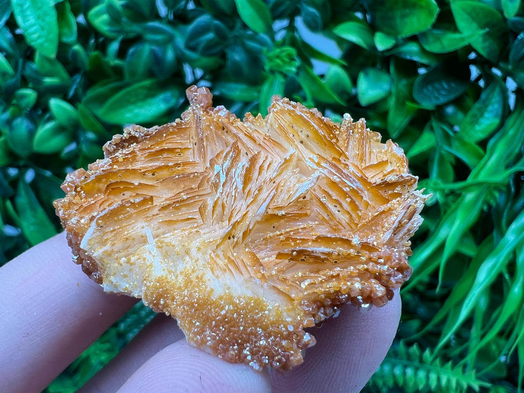 Red Vanadinite on Barite from Marocco,crystal minerals Speciment cluster Vanadinite crystal Vanadinite Geology Vanadinite cluster minerals