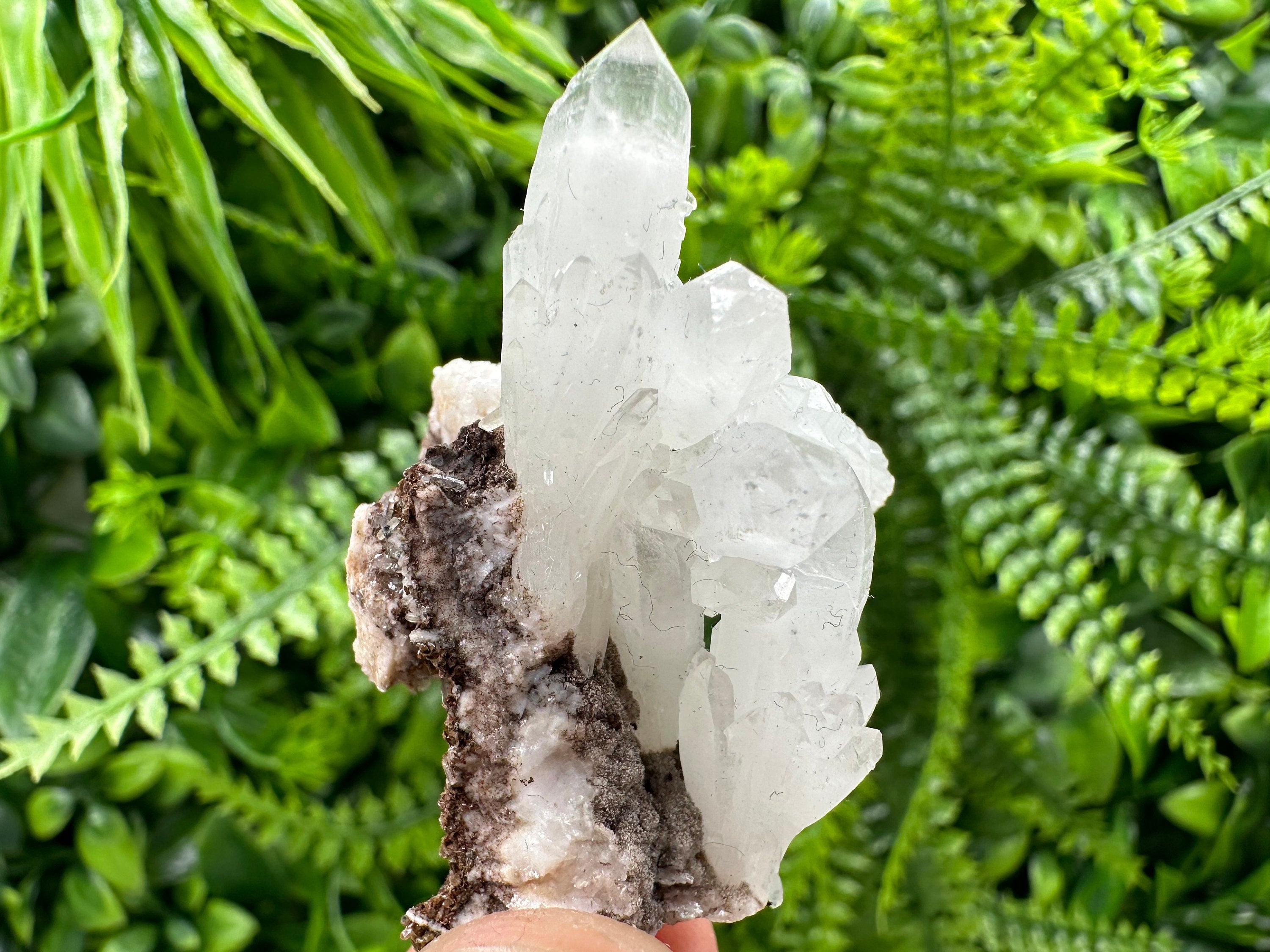Quartz with Chlorite, Rhodochrosite and Siderite Mineral Specimen